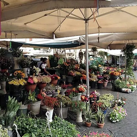 B&B In Piazza